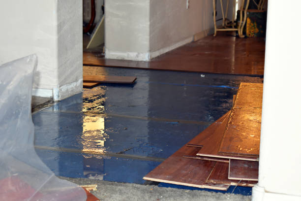 Professional Water Damage Restoration technician working in Dennison, MN